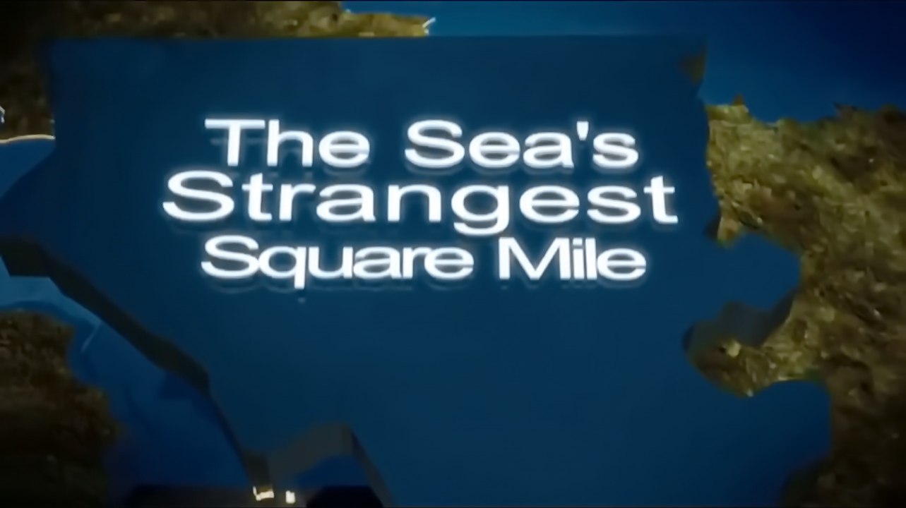 Самое странное место в океане