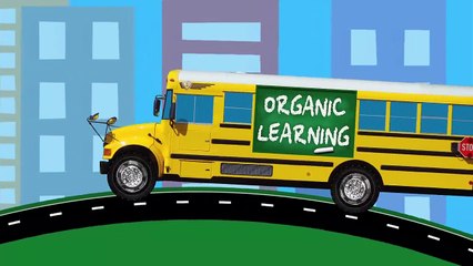 Cars Trucks Street Vehicles Teaching Colors - Learning Colours Video for Children - Organic Learn