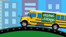 Cars Trucks Street Vehicles Teaching Colors - Learning Colours Video for Children - Organic L
