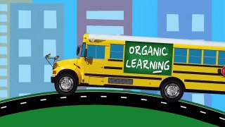 Monster Trucks for Kids - Blaze and the Monster Machines for Children & Toddlers - Organic