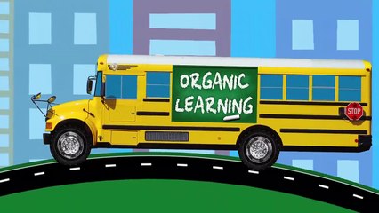 Big Rig Car Carrier Teaching Colors for Kids #1 Learning Colours Video for Children Organic Le