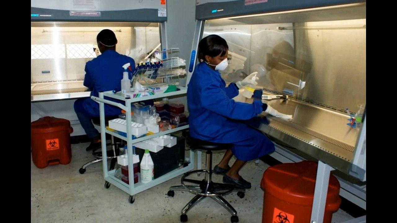 Biosafety Level