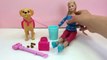 Barbie mit Hund youtube video demo + review - Barbie und ihr Stubenreines Hündchen - BDH74