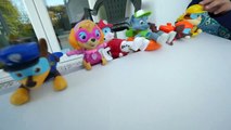 Paw Patrol Color Slide Learn Colors with Bath Water Toys-whrZ