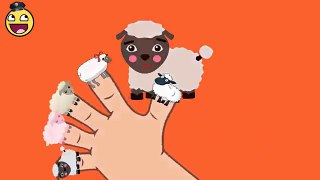 Детские стишки | овца семья палец песни для детей детские стишки | английские стишки для детей