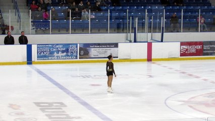 Gabrielle Daleman 2017 Worlds Simulation - SP (fancam)