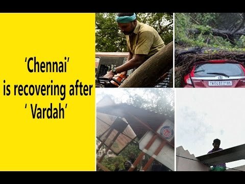 மெல்ல மெல்ல மீண்டு வரும் சென்னை Chennai is recovering After Vardah- Oneindia Tamil