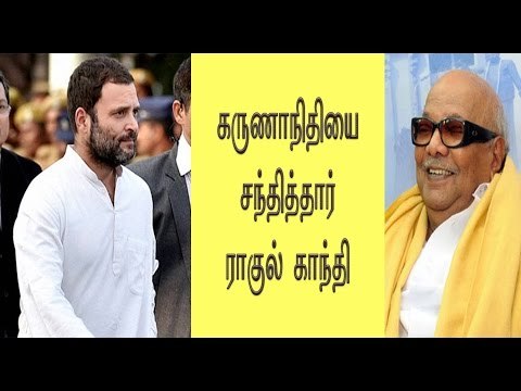 கருணாநிதியை சந்தித்தார் ராகுல் காந்தி Rahul Gandhi meets Karunanidhi- Oneindia Tamil