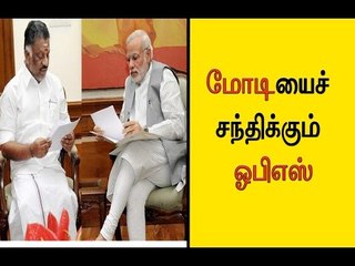 மோடியைச் சந்திக்கும் ஓபிஎஸ்  ops meets pm modi in dehli- Oneindia Tamil