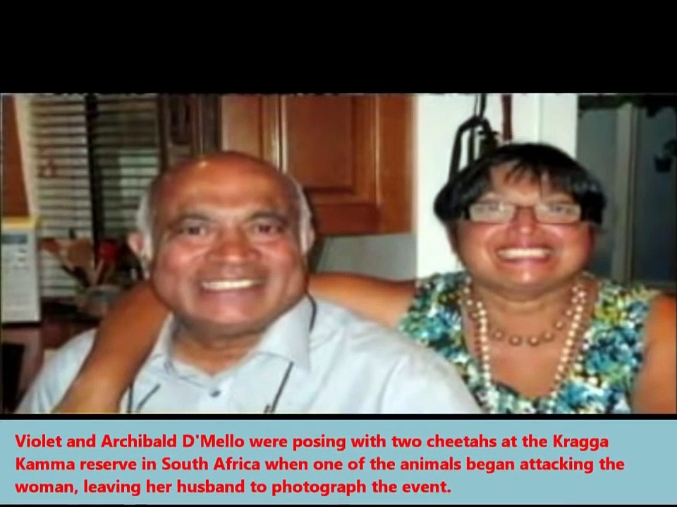 Woman Mauled By Cheetahs In South Afr