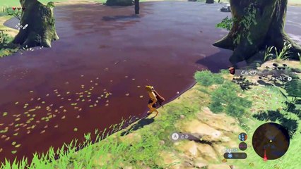 【世界を変えるゼルダの伝説】-ブレス オブ ザ �