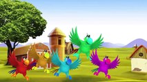 BIRDS Finger Family Nursery Rhymes | Penguin And Eagle Cartoons For Children