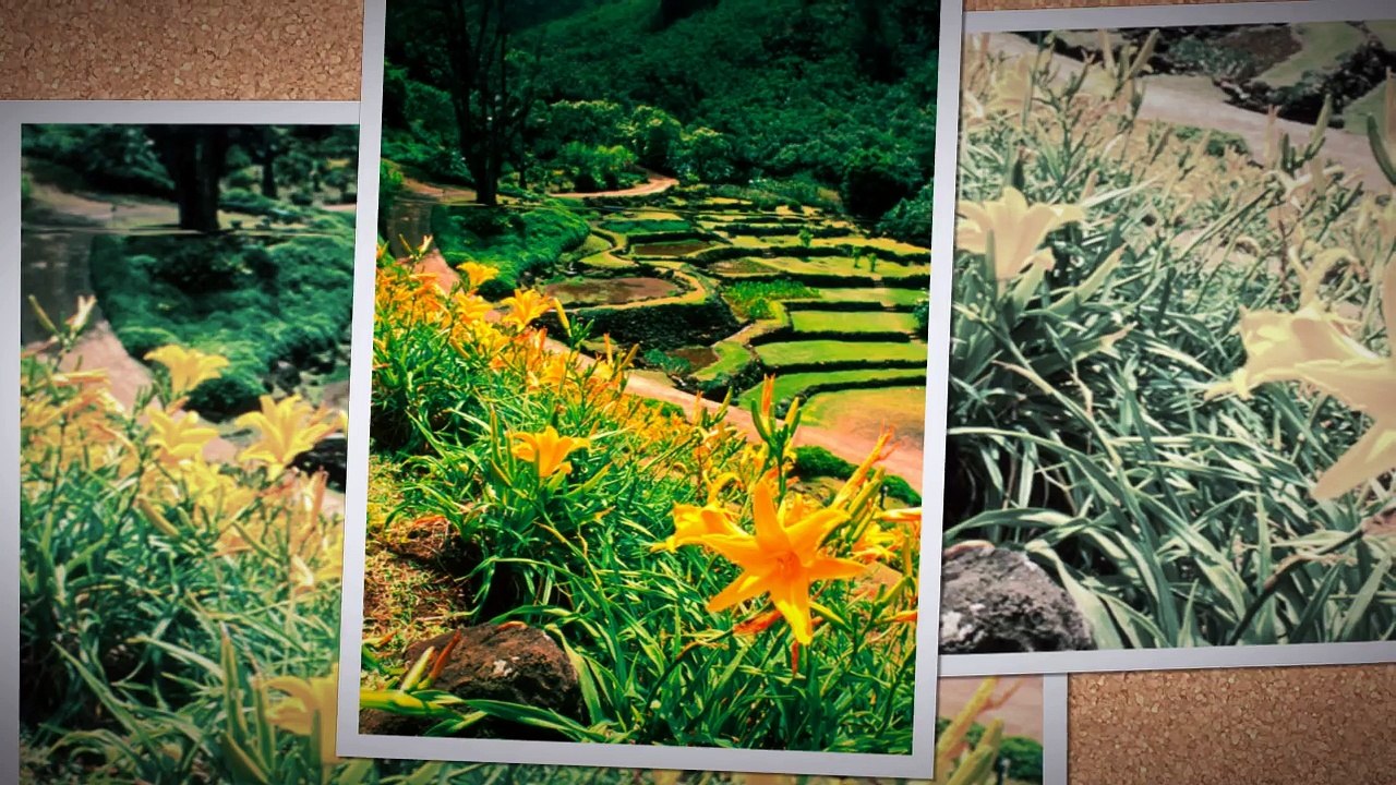 kauai island Tourism - Hawaii