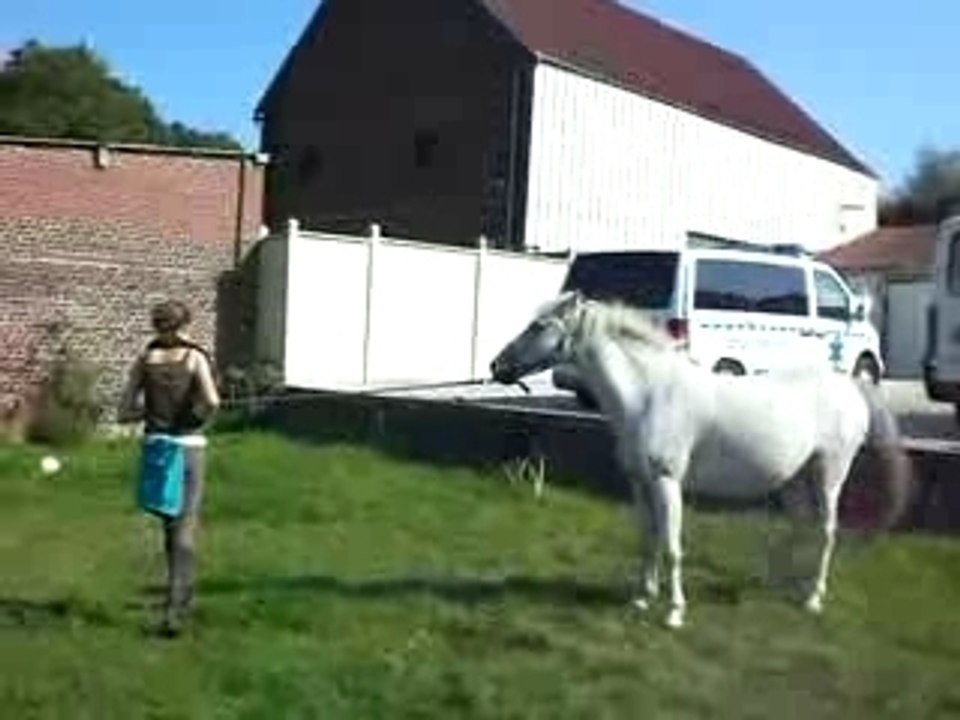 Jojo mon cabreur