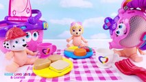 Paw Patrol Baby Dolls Potty Train Picnic Baby Doll Feeding Fun Pretend Play Video for Kids