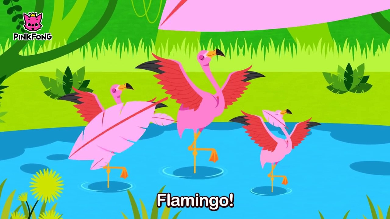 Hakuna matata | Animal Songs | PINKFONG Songs for Children Bingo Dog Song + More 3D Animat