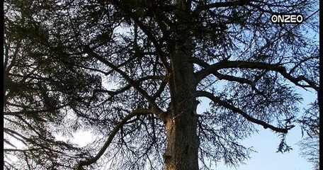 MAG (ASSE) : PORTRAIT, JORDAN VERETOUT (1)