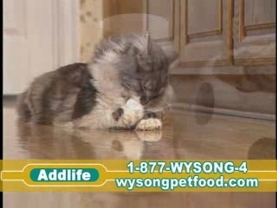 Wysong Addlife