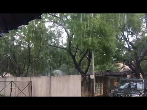 Cyclone Vardah disrupts normal life in Chennai - Oneindia Tamil