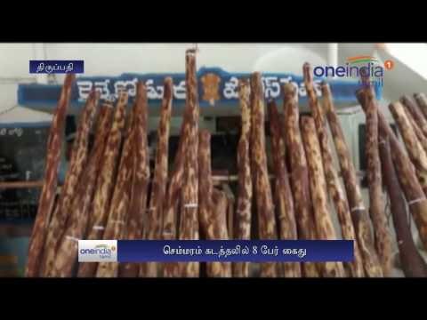 Tirupati: Red sandalwood worth Rs 1 crore 7 lakhs seized, 8 arrested - Oneindia Tamil