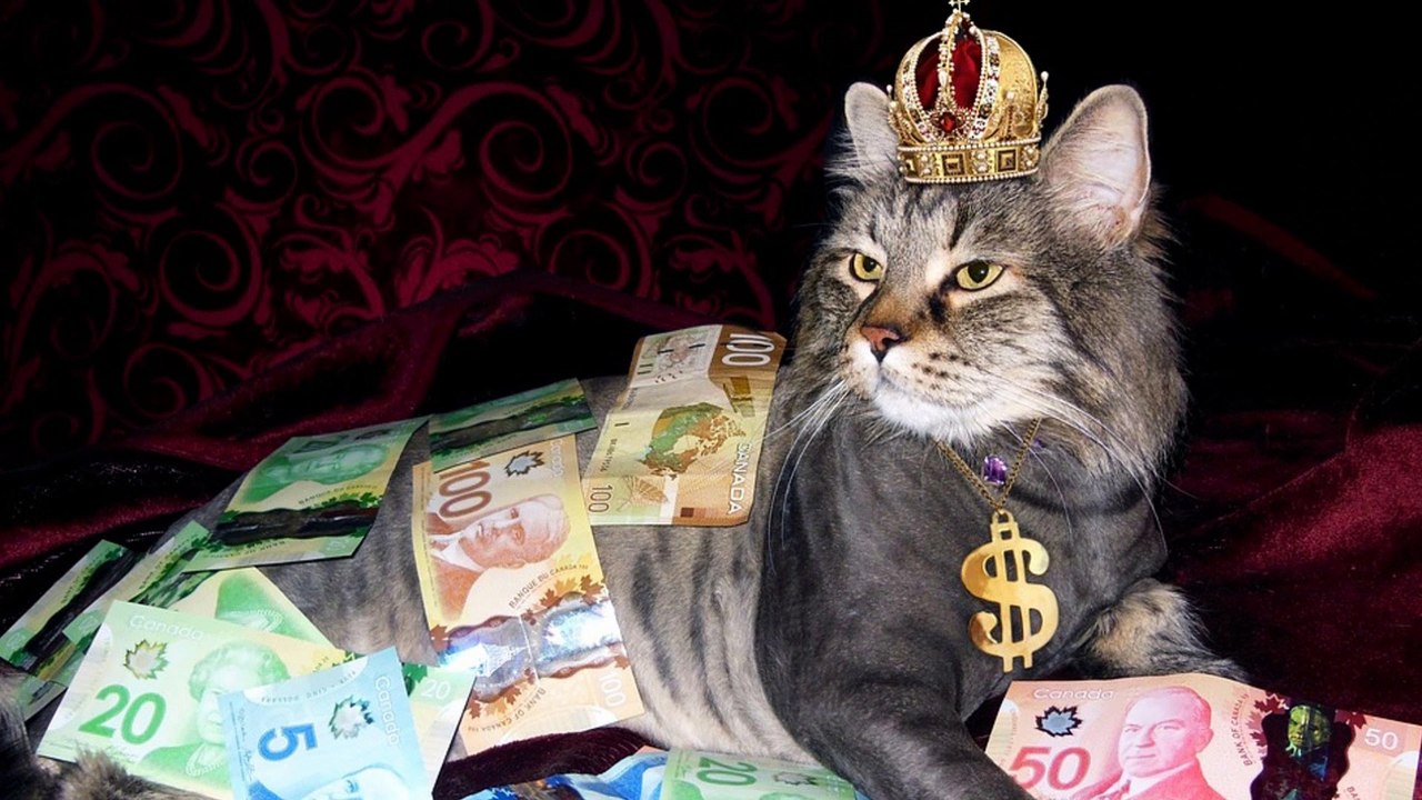 【貧乏脱出】お金持ちが語るお金持ちになる人の習慣ランキングTOP１０「中級編動画No.6」