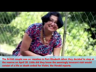 Woman Mauled By Cheetahs In South Africa! Amazing Video Ever.