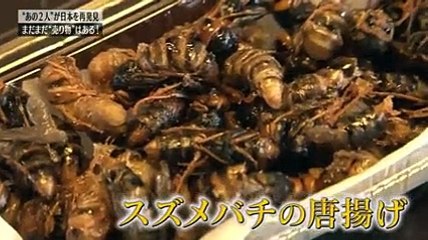 ドラ ドラの動画 Dailymotion