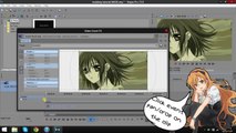 {Sony Vegas Tutorial}