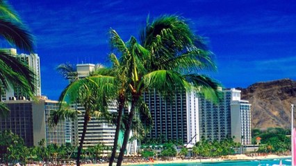 Oahu Island Hawaii Tourism