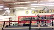 Boxing Sparring - Workouts With Your Students - Kinda Easy - Mosley Boxing