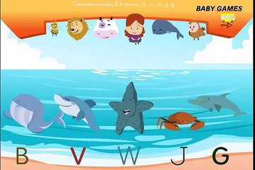 El Abecedario en español para niños - Aprende la letra Z - El Abecedario en Español - Baby