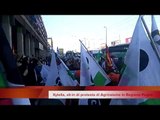 Xylella, Agrinsime in protesta a Bari: sit-in ai piedi di Michele Emiliano - Leccenews24