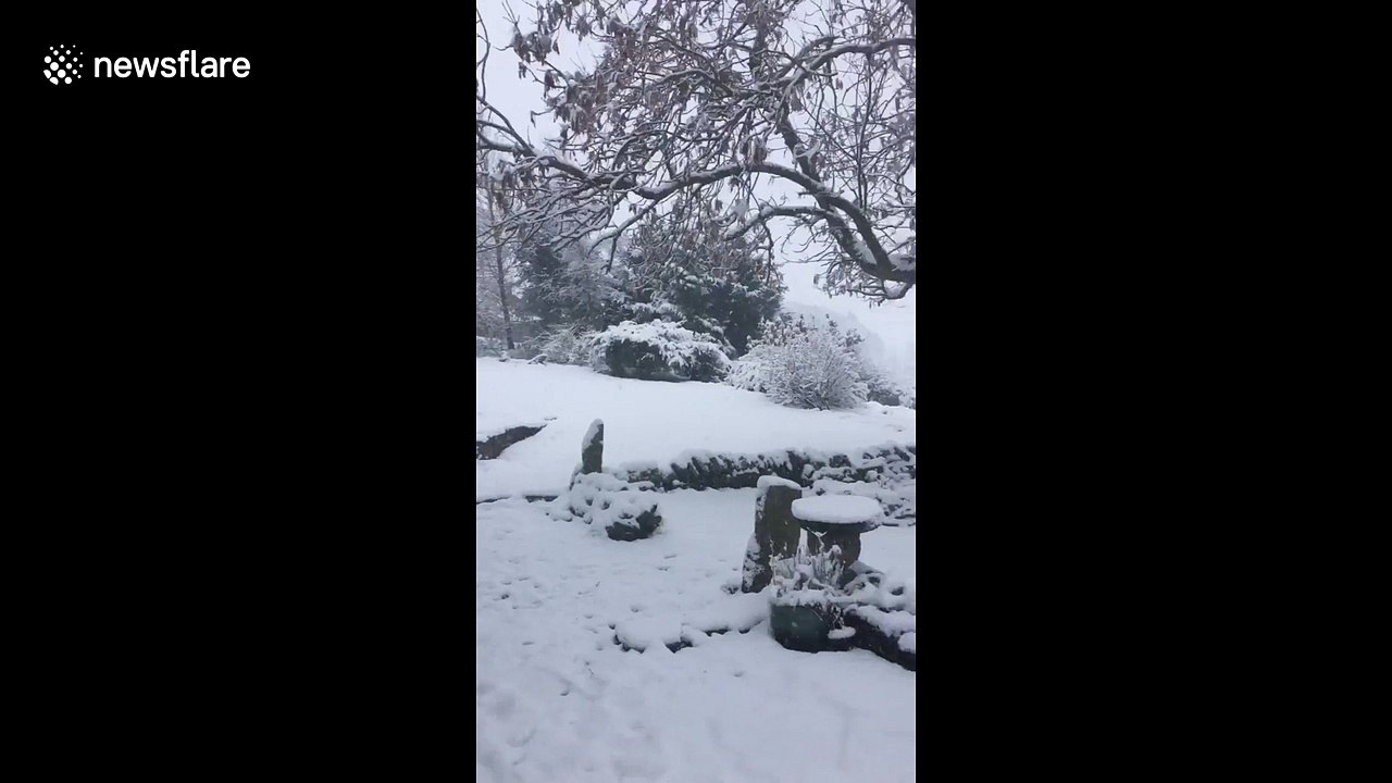 Heavy snowfall hits England's north east