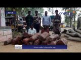 Red sandalwood smuggling: 3 Tamil workers arrested in Tirupati - Oneindia Tamil