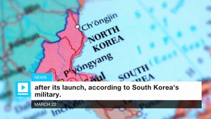 North Korea missile launch fails, South reports