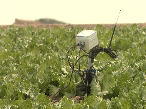 El reto de la agricultura sostenible es reutilizar en los cultivos el 100% del agua utilizada