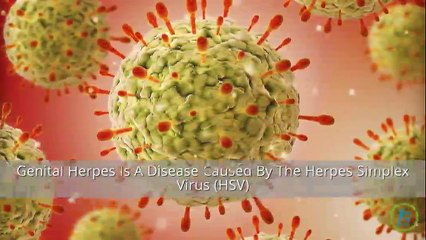 The Basics About Genital Herpes
