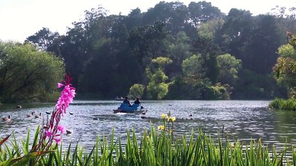 Canon Printer Support UK 0800-090-3850 Canon Technical Support