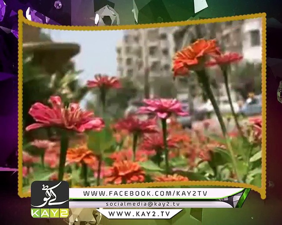 Metropolis Reloaded ( 21-03-2017 )