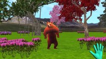 Mega Gummy Bear crying by injected Finger Family Song Nursery Rhymes Gummy Cartoon for Kid