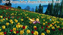 Butterfly Finger Family || Nursury Finger Fimly || Ozu Nursery Rhymes