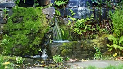 Walks Around Britain - Season 2, Episode 1