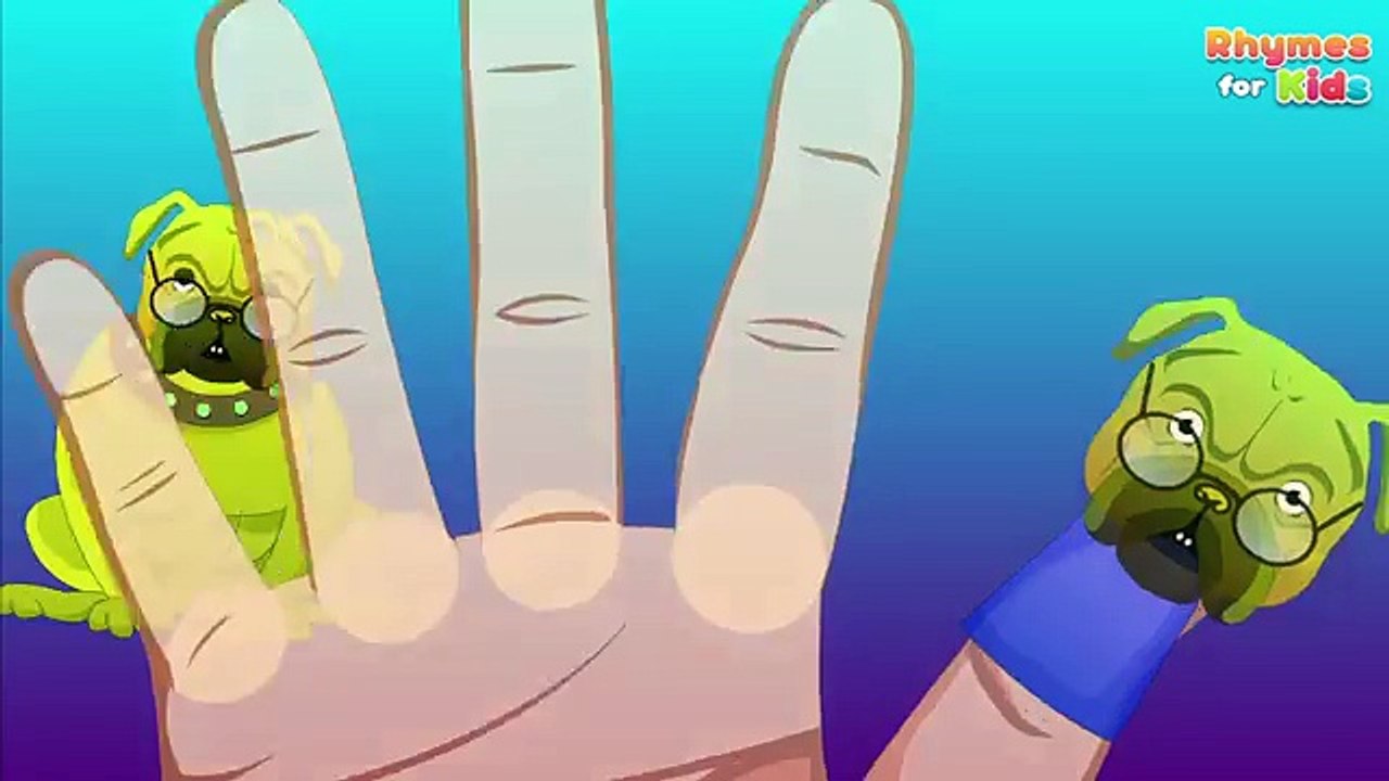 Animals Finger Family || Cat Dog Wolf Cow || English Nursery Rhymes For Kids