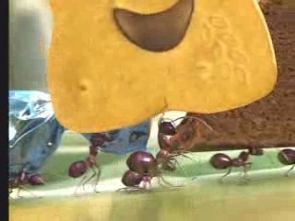 BN