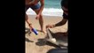 Un jeune complètement débile utilise les dents d’un requin pour ouvrir sa bière !