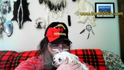 LITTLE DIPPER BY THE MILKMAN eLiquid Review