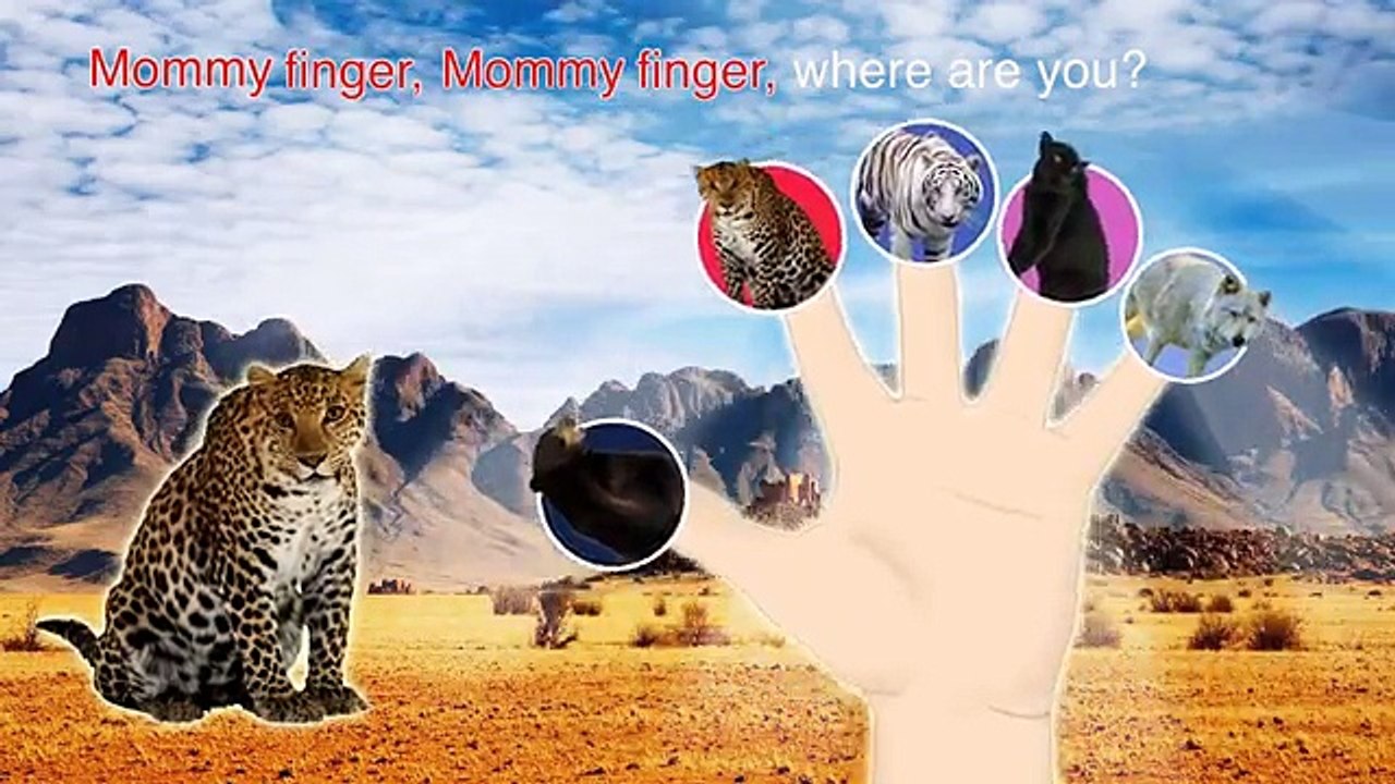 Animals 3D Finger Family Nursery Rhymes Lyrics