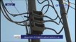 Tiruppur corporation power supply cut TNEB action - Oneindia Tamil