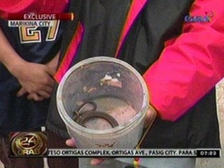 24 Oras: Ilang ahas, nakita sa baha sa Marikina