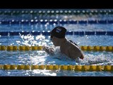 Swimming - women's 200m individual medley SM14 - 2013 IPC Swimming World Championships Montreal